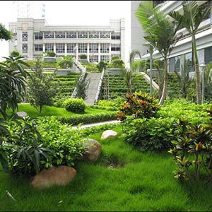 綠化養(yǎng)護